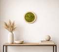 Ready to Ship: 8" Bright Galaxy Moss Art Frame