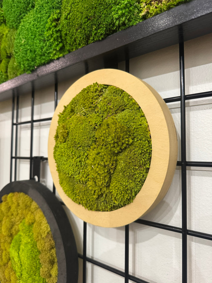 Ready to Ship: 8" Bright Galaxy Moss Art Frame