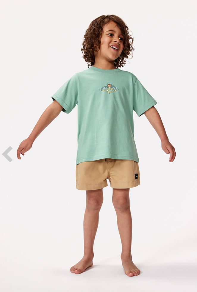 Rip Curl Shred Town Barrel Short Sleeve Tee Boy