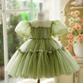 Sage Green Girl Dress 1st Toddler Wedding Birthday Holiday J750