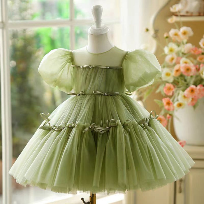 Sage Green Girl Dress 1st Toddler Wedding Birthday Holiday J750