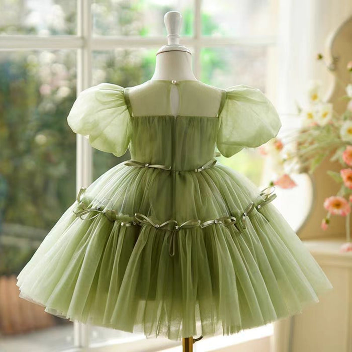 Sage Green Girl Dress 1st Toddler Wedding Birthday Holiday J750