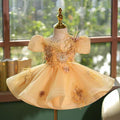 Saprkly Champagne Flower Princess Girl Dress for Kids Birthday Party J783