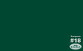 Savage Evergreen Seamless Paper