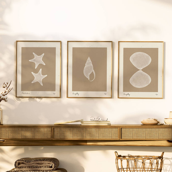 Sea Star 2 | Seashell Art Print