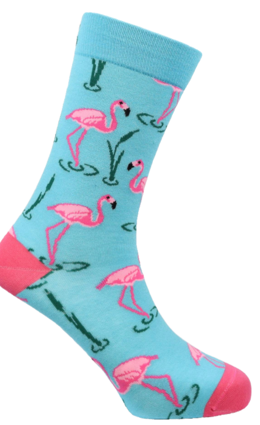 Tropical Wader