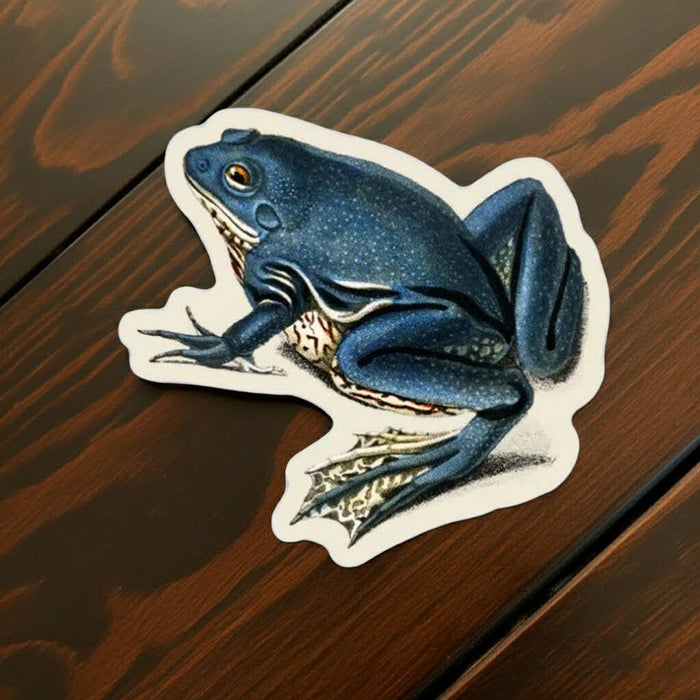 Forager Provisions LTD Stay Home Club exasperated frog vinyl sticker with detailed blue illustration on wood surface