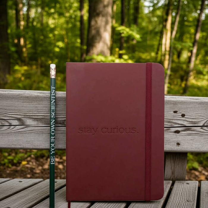 Stemcell Stay Curious maroon journal & pencil set resting on a bench in the woods, unique writing gift in nature.
