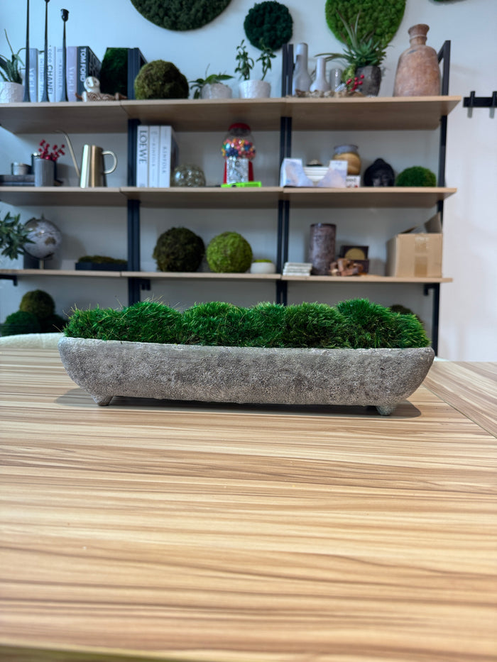 Stonehenge Moss Bowl