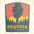 Forager Provisions LTD Sequoia National Park vinyl sticker featuring a giant tree illustration in sunset colours.