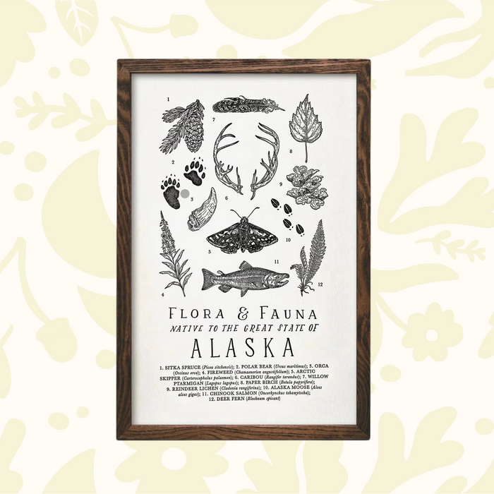 Forager Provisions LTD Alaska flora and fauna letterpress print featuring wildlife illustrations on cotton paper.