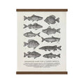A vintage hand-illustrated guide, The Wild Wander Freshwater Fish Guide Print (11x14), features ten freshwater game fish of North America, elegantly labeled and displayed in two vertical rows on a textured white background. The design is reminiscent of letterpress printed art.