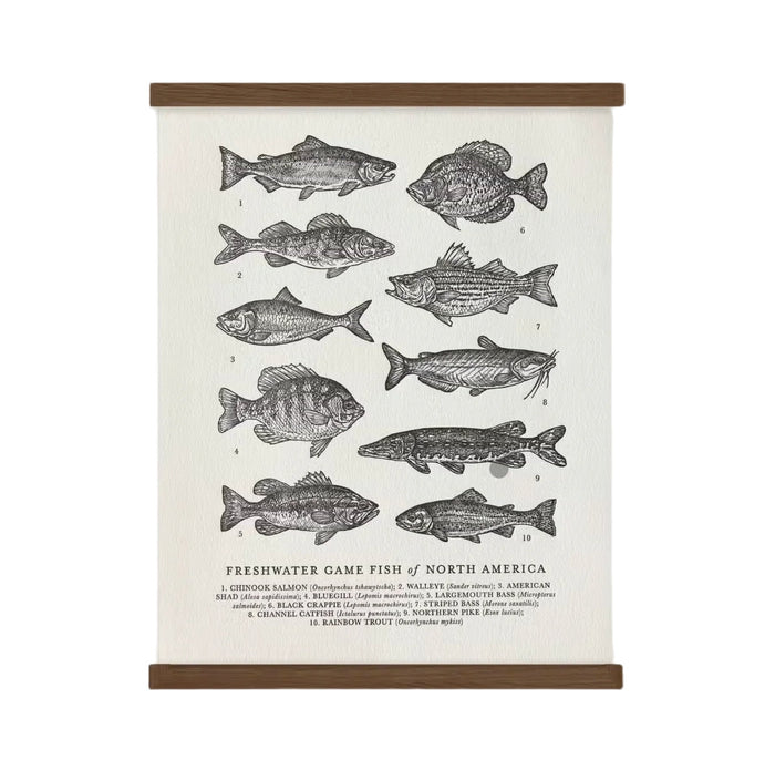 A vintage hand-illustrated guide, The Wild Wander Freshwater Fish Guide Print (11x14), features ten freshwater game fish of North America, elegantly labeled and displayed in two vertical rows on a textured white background. The design is reminiscent of letterpress printed art.