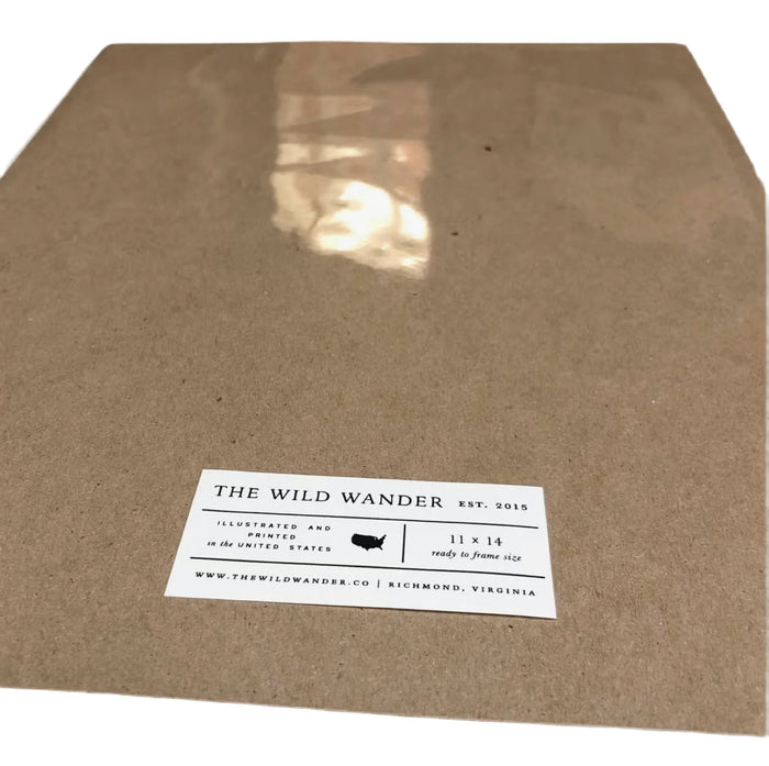 A vintage hand-illustrated guide, The Wild Wander Freshwater Fish Guide Print (11x14), features ten freshwater game fish of North America, elegantly labeled and displayed in two vertical rows on a textured white background. The design is reminiscent of letterpress printed art.