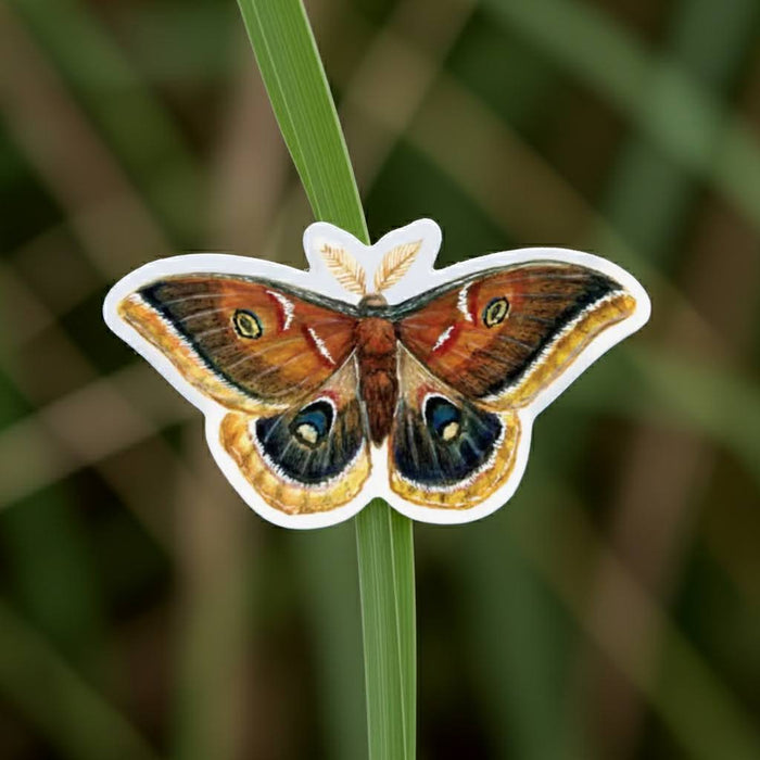 Forager Provisions LTD Polyphemus moth vinyl sticker with vibrant eyespots and intricate wing details on a green leaf