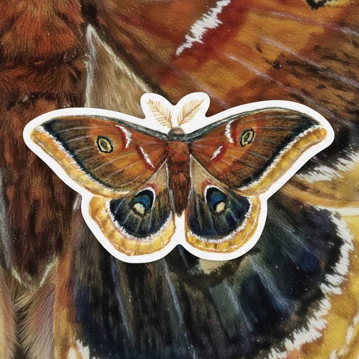 Forager Provisions LTD Polyphemus moth sticker with vibrant brown and orange wings and detailed eyespot patterns.