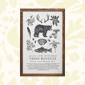 Forager Provisions LTD 11x17 letterpress print of Smoky Mountains flora and fauna on off-white cotton paper in frame
