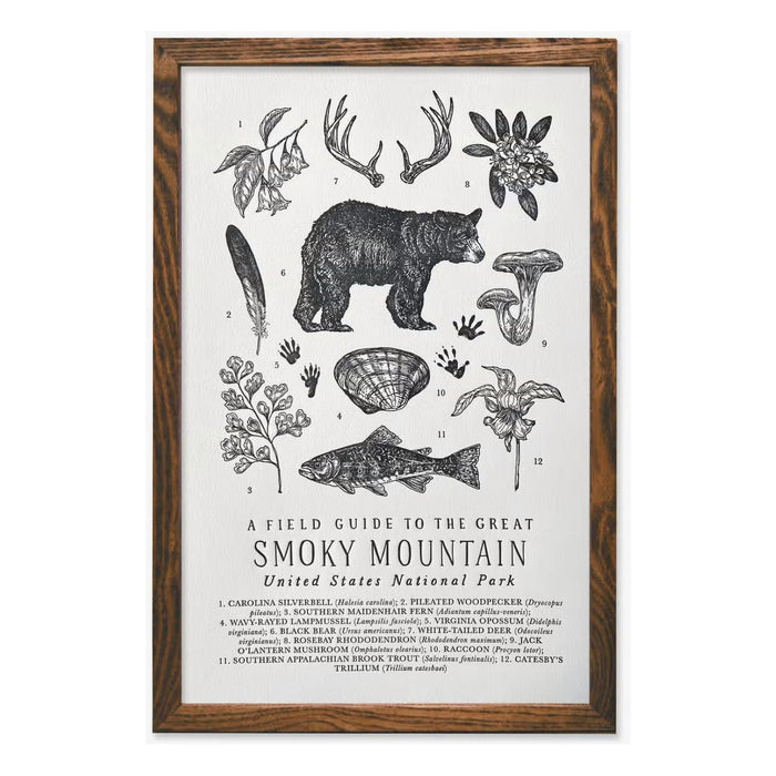 Forager Provisions LTD 11x17 letterpress print of Smoky Mountains flora and fauna on off-white cotton paper in frame.