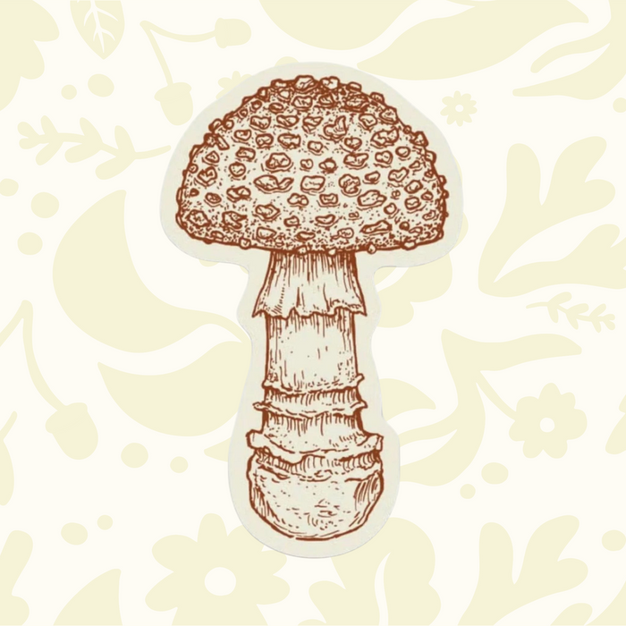 Forager Provisions LTD spotted mushroom sticker with detailed brown ink illustration on durable outdoor vinyl.