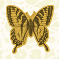 Forager Provisions LTD swallowtail butterfly sticker with detailed yellow and black illustration on outdoor vinyl.
