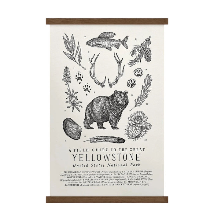 Forager Provisions LTD Yellowstone field guide print on off-white cotton paper with black hand-illustrated wildlife.