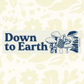 Forager Provisions LTD Three Potato Four magnet featuring blue Down To Earth text and mushroom illustrations