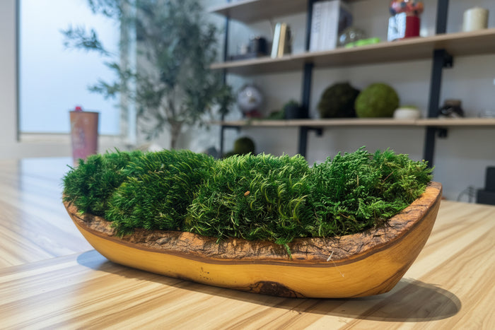 Tranquil Earth Olive Wood Moss Bowl