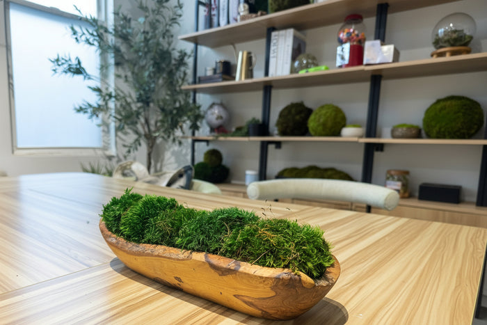 Tranquil Earth Olive Wood Moss Bowl