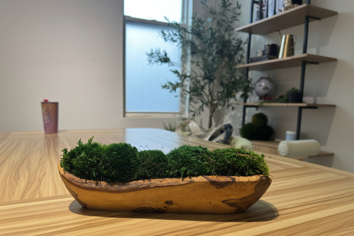 Tranquil Earth Olive Wood Moss Bowl