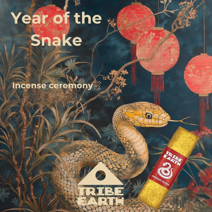 Snake with red lanterns, Tribe Earth Incense Plank Bar, Year of the Snake Gold Edition celebration in background.