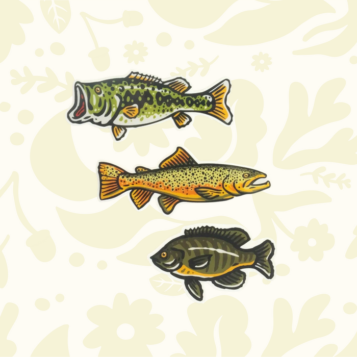 Forager Provisions LTD freshwater fish vinyl sticker set featuring a largemouth bass, brown trout, and bluegill.