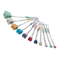 Wallnut Set 1-11