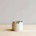 Wave Ceramic Match Holder